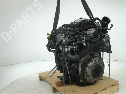 Engine VW TIGUAN (5N_) 2.0 TDI | BP36028303M1 - Image 2