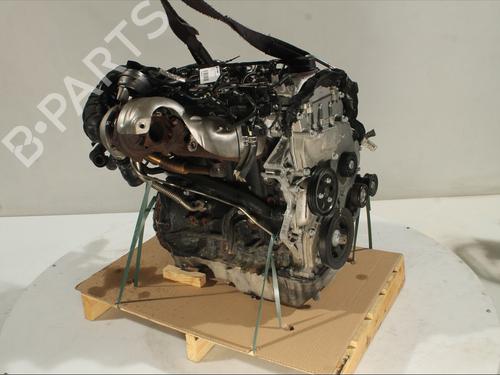 Engine KIA CEE'D (JD) 1.6 CRDi 128 | BP29420002M1 