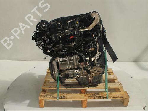 Used Engine FORD FIESTA VI (CB1, CCN) [2008-2017]  15515528
