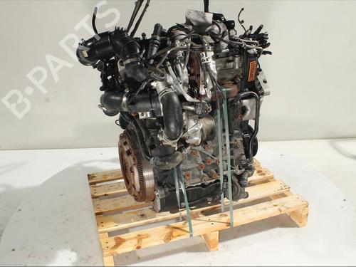 Engine VW T-ROC (A11, D11) 1.6 TDI | BP24654645M1 