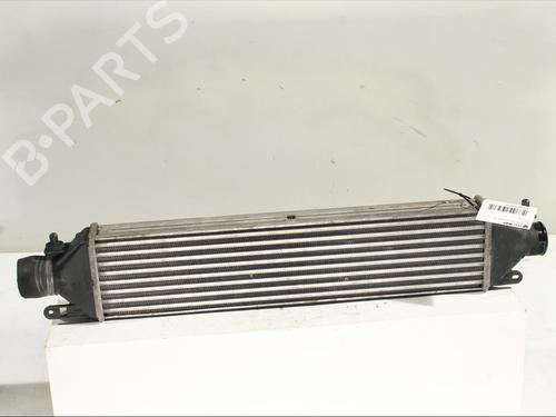 Intercooler FIAT DOBLO Cargo (263_) 1.3 D Multijet | BP26537548M30 