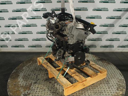 Engine RENAULT CLIO III (BR0/1, CR0/1)  | BP11894956M1 