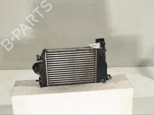Intercooler RENAULT MEGANE IV Hatchback (B9A/M/N_)  | BP16941144M30 