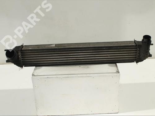 Intercooler RENAULT LAGUNA III (BT0/1) 2.0 dCi (BT07, BT0J, BT14, BT1A, BT1S) | BP11902542M30 