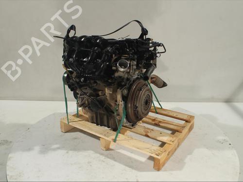 Motor FORD FIESTA VI (CB1, CCN)  | BP13402934M1 