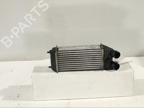 Intercooler CITROËN C3 Picasso (SH_) 1.6 HDI 90 (92 hp) 11905198