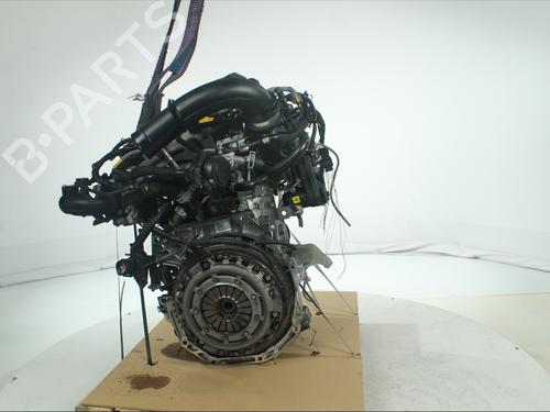 Engine DACIA SANDERO III 1.0 TCe 100 ECO-G | BP36283845M1  - Image 5