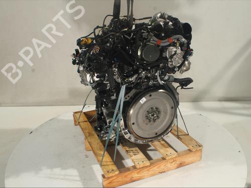 Engine RENAULT KOLEOS II (HC_) 2.0 BLUE DCI 185 4WD (HCAN) | BP19877592M1 
