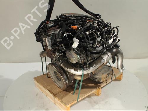 Engine AUDI Q5 (8RB) 3.0 TDI quattro | BP27290820M1 