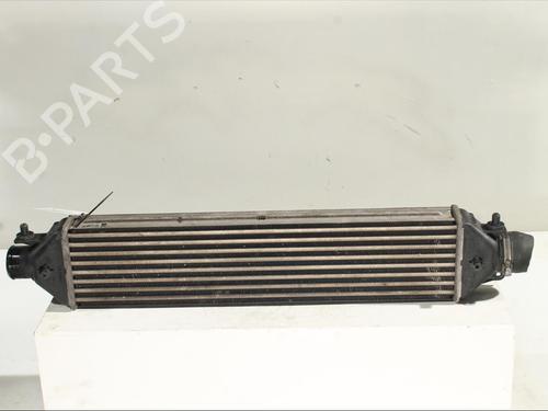 Used Intercooler FIAT DOBLO Cargo (263_) 1.3 D Multijet (90 hp) 26537548