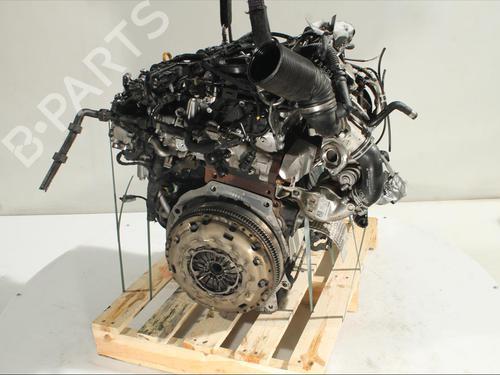 Engine AUDI Q3 (8UB, 8UG)  | BP24519865M1 
