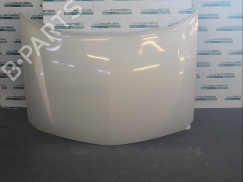 Used Hood RENAULT LAGUNA II (BG0/1_) 1.9 dCi (BG1A, BG1V) (130 hp) 12075208