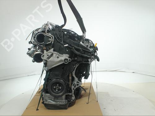 Engine SEAT LEON (KL1, KLG) 2.0 TDI | BP36496497M1 - Image 5