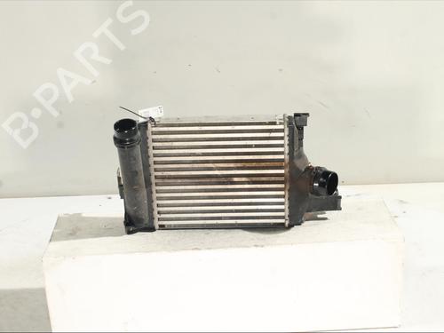 Intercooler DACIA SANDERO II TCe 90 (B8M1, B8MA, B8AC) | BP24427265M30