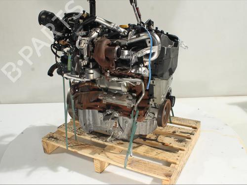 Engine RENAULT KADJAR (HA_, HL_)  | BP24519794M1 