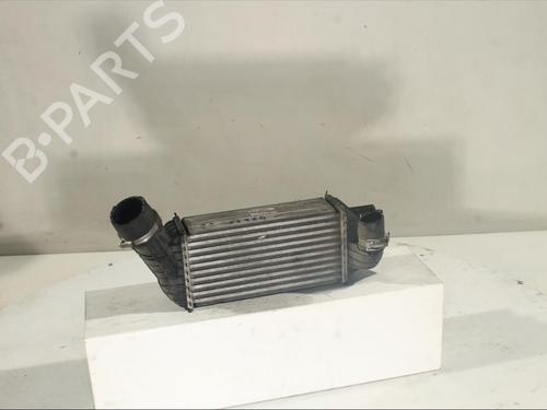 Intercooler CITROËN DS5 2.0 HDi 165 | BP20221670M30