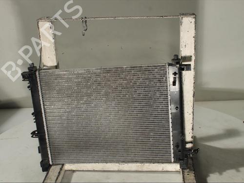 Oil radiator DACIA DUSTER (HM_)  | BP24218603M33 