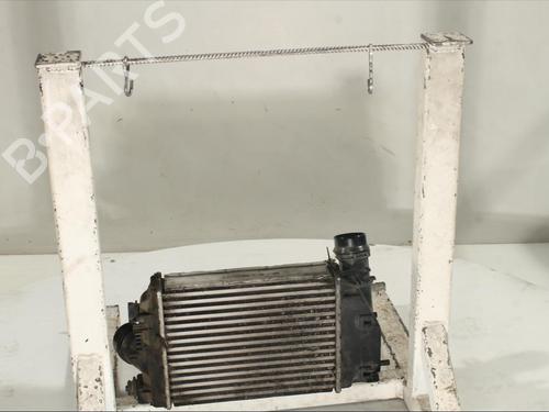 Intercooler RENAULT MEGANE IV Hatchback (B9A/M/N_) 1.2 TCe 130 (B9MR) | BP17208313M30 