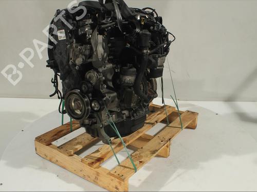 Engine FORD MONDEO IV (BA7)  | BP12137281M1 