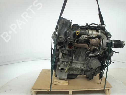 Used Engine Engine 38005531 38005531