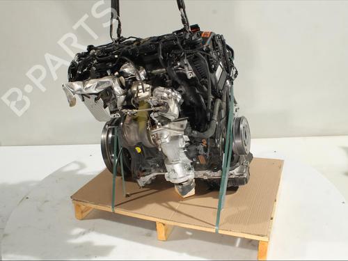 Engine AUDI A5 Sportback (F5A, F5F) 40 TFSI Mild Hybrid | BP26018123M1 