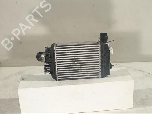 Intercooler RENAULT CAPTUR II (HF_) 1.0 TCe 90 ECO-G (HFM6) | BP20503559M30