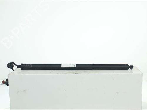 tailgate-lift-support-ford-kuga-iii-dfk-2019-35747556 main image