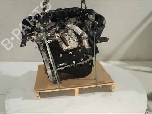 BP31843486M1 main image