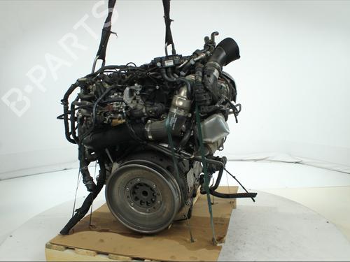 Engine AUDI Q5 (FYB, FYG) 2.0 TDI quattro | BP39217432M1 - Image 5