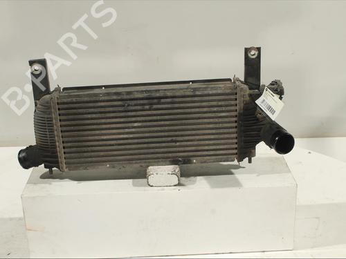 Used Intercooler Intercooler NISSAN PATHFINDER III (R51) 2.5 dCi 4WD (174 hp) 11905451 11905451