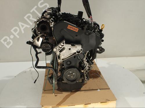 Engine SEAT LEON (5F1) 1.6 TDI | BP29382656M1 