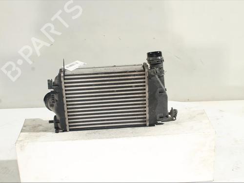 Intercooler NISSAN QASHQAI II (J11, J11_) 1.2 DIG-T | BP24578635M30 