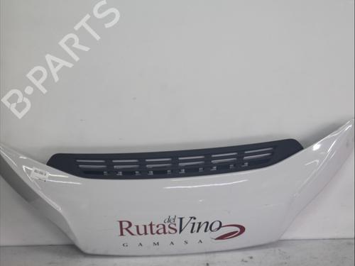 hood-fiat-ducato-van-250_-2006-32254084 main image