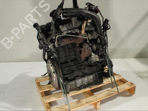 Engine SEAT CORDOBA (6L2)  | BP23185019M1 