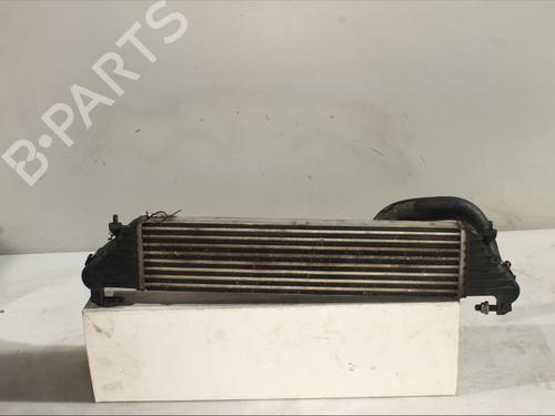 Intercooler FIAT 500L (351_, 352_) 1.3 D Multijet (199.LYM11, 199.LYM1A) | BP29469940M30 