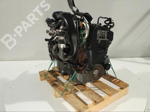 Engine RENAULT CLIO III (BR0/1, CR0/1) 1.2 16V (BR02, BR0J, BR11, CR02, CR0J, CR11) | BP11907120M1 