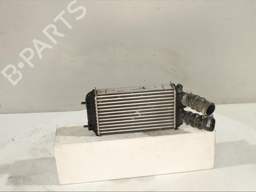 Used Intercooler PEUGEOT 2008 II (UD_, US_, UY_, UJ_, UR_, UC_) 1.2 PureTech 100 (USHNK) (101 hp) 30404227