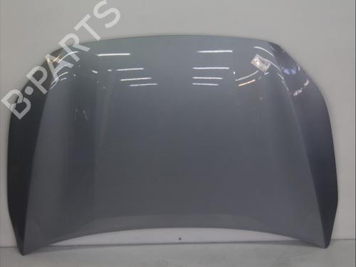 BP30955905C1 main image