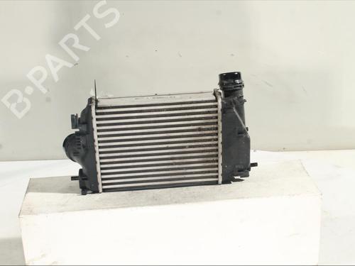 Intercooler RENAULT KADJAR (HA_, HL_) 1.2 TCe 130 (HLMR) | BP24995557M30