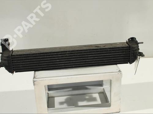 Intercooler RENAULT LAGUNA III (BT0/1) 2.0 dCi (BT07, BT0J, BT14, BT1A, BT1S) | BP11902542M30 