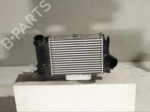 Intercooler RENAULT SCÉNIC IV (J9_) 1.3 TCe 140 | BP24102520M30 