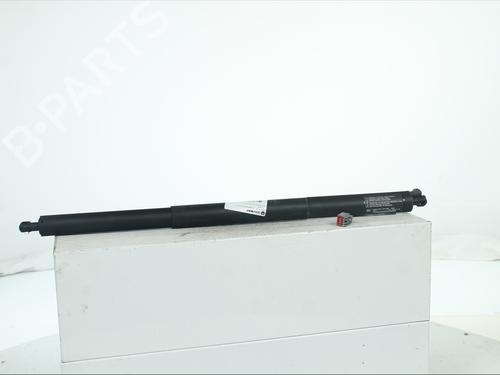 Tailgate lift support FORD KUGA II (DM2) 2.0 TDCi 4x4 | BP36791403C138 - Image 2
