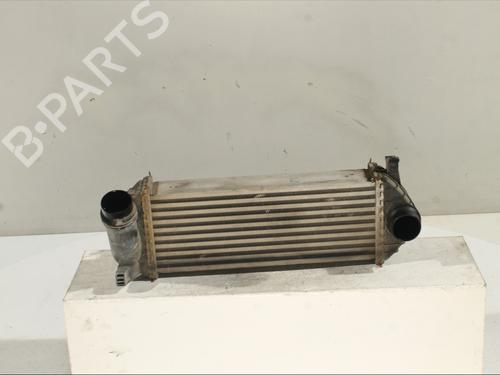 Intercooler RENAULT KANGOO Express (FW0/1_) 1.5 dCi 75 (FW07, FW10, FW04) | BP29173486M30 