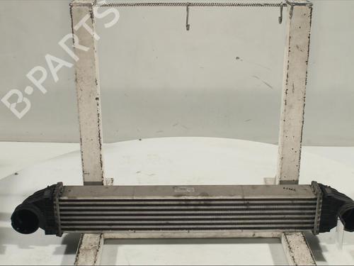 Used Intercooler Intercooler MERCEDES-BENZ B-CLASS Sports Tourer (W245) B 200 CDI (245.208) (140 hp) 12111849 12111849