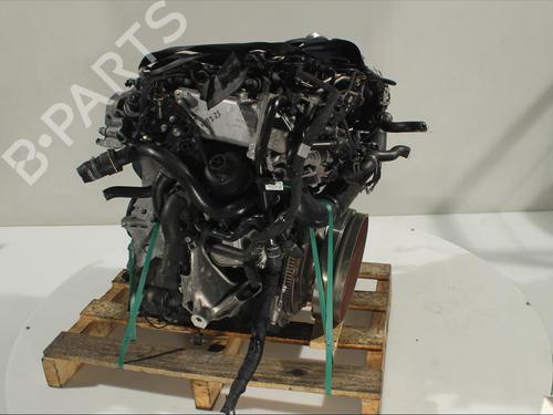 Engine AUDI A4 Allroad B9 (8WH, 8WJ)  | BP11984893M1 