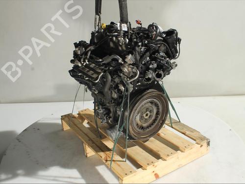 Engine VW POLO VI (AW1, BZ1, AE1) 1.0 TSI | BP24352853M1 