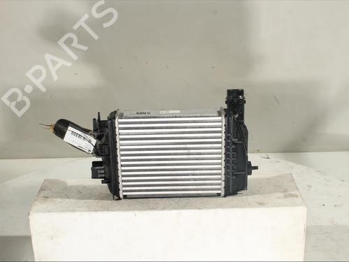 Intercooler RENAULT CLIO V (B7_)  | BP16941267M30 