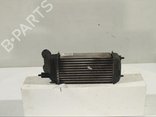 Used Intercooler Intercooler FIAT SCUDO Bus (270_, 272_) 2.0 D Multijet (128 hp) 12265639 12265639