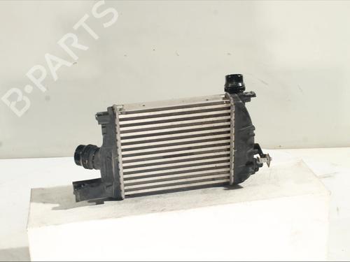 Intercooler DACIA SANDERO II TCe 90 (B8M1, B8MA, B8AC) | BP24948092M30 