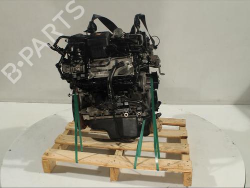 Engine VW POLO V (6R1, 6C1)  | BP13819381M1 